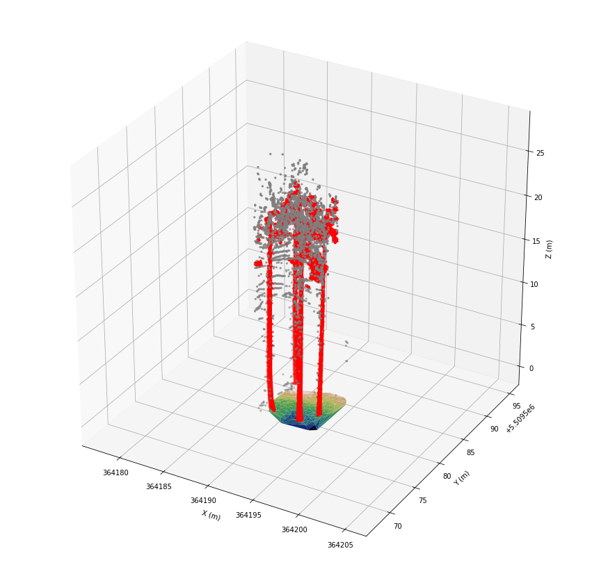 ../_images/tutorials_stem_detection_31_0.png